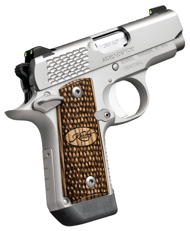 KIMBER MICRO RAPTOR STAINLESS 380ACP 2.75